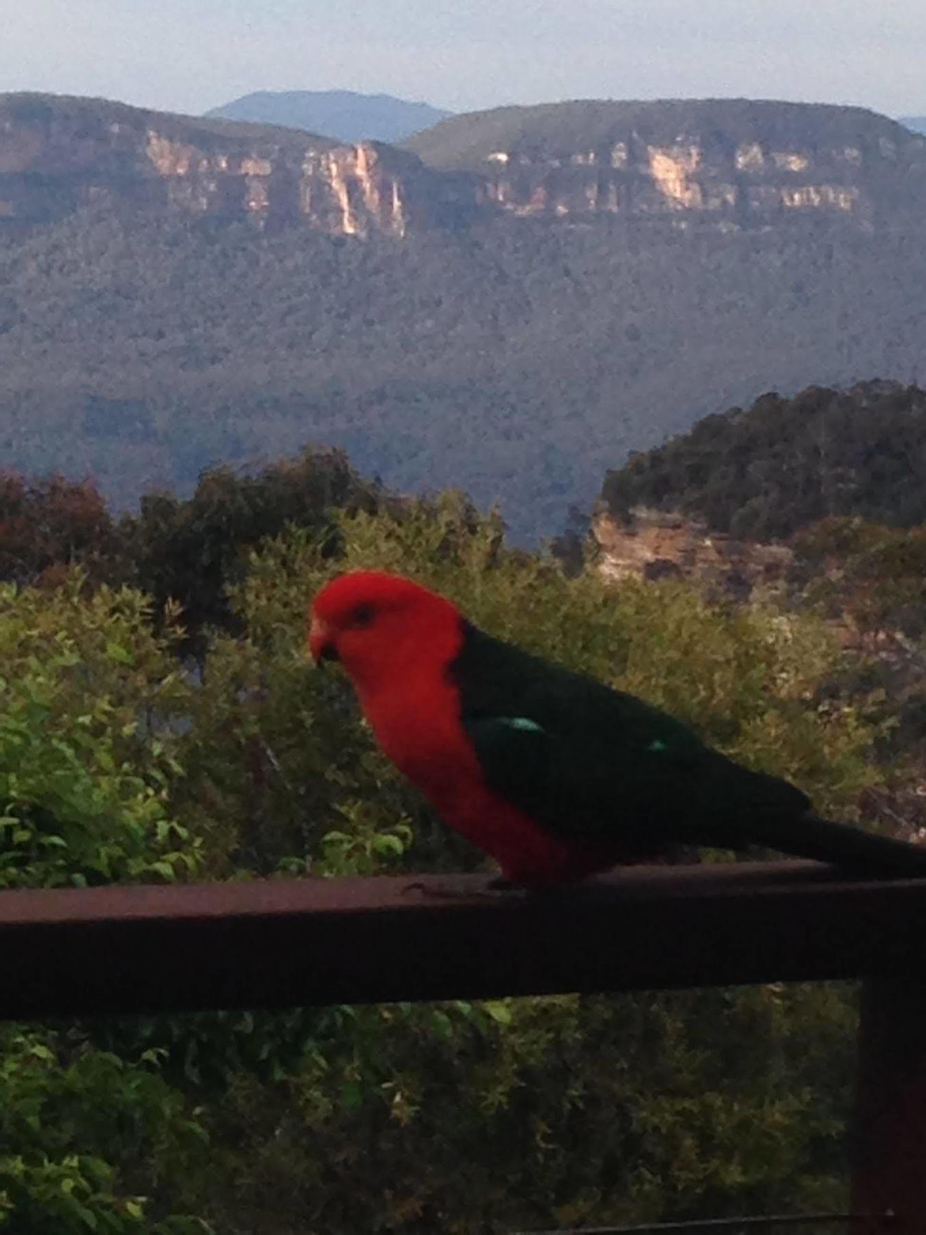 Valley Of The Waters B&B Wentworth Falls Exterior photo